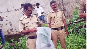  മലപ്പുറം മേഖലകളിൽ കഞ്ചാവ് വിൽപ്പന വർധിച്ചു; കഞ്ചാവ് ചെടി വീട്ടു വളപ്പിലും, എക്സൈസ് പിടികൂടി!