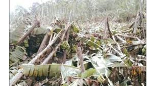 വന്യജീവികള്‍ക്കുള്ള വില മനുഷ്യനില്ല, മന്ത്രിക്ക് ശരിയായ വിവരവുമില്ലെന്ന് കിസാൻസഭ; വന്യജീവി ആക്രമണത്തില്‍ കൊല്ലപ്പെടുന്നവരുടെ എണ്ണം കുറച്ചുകാട്ടാന്‍ വനംവകുപ്പ് ഉദ്യോഗസ്ഥര്‍ കണക്കുകള്‍ അട്ടിമറിക്കുന്നുവെന്ന് പരാതി!