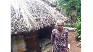 ജനങ്ങളോട് ലാന്‍ഡ് ട്രൈബ്യൂണല്‍ ഓഫീസ് ക്രൂരത: 13 വീട്ടുകാര്‍ക്ക് പട്ടയം കിട്ടാക്കനി, സത്യഗ്രഹത്തിന്