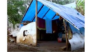  കാത്തിരിപ്പിനൊടുവില്‍  പുലപ്രക്കുന്നുകാര്‍ക്ക് പട്ടയം ലഭിക്കുന്നു;  കോളനിയിലെ ഭൂമി പ്രശ്നത്തിന് പരിഹാരം, വീട് നിർമ്മാണവും ഉടൻ...