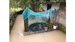 പ്രളയത്തെ ഓർമിപ്പിച്ച് കോഴിക്കോട്ട് കനത്ത മഴ;  വ്യാപക കൃഷിനാശം, വീടുകൾ തകർന്നു!