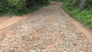 ആറ് പതിറ്റാണ്ടായി റോഡും കുടിവെള്ളവുമില്ല;  അടിസ്ഥാന വികസനം കാത്ത് കൊന്നത്തടിയിലെ ഒരു ഉള്‍ഗ്രാമം...