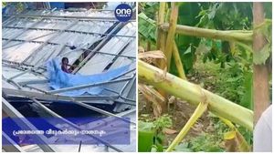 മലപ്പുറത്ത് ശക്തമായ കാറ്റും മഴയും; വ്യാപക കൃഷി നാശം, വീടിന്റെ മേല്‍ക്കൂര പറന്നുപോയി