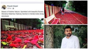 ഗുല്‍മോഹര്‍ വസന്തം വിരിയിച്ച മേലാറ്റൂര്‍ അതിര്‍ത്തി കടക്കുന്നു; അതിസുന്ദരമെന്ന് റെയില്‍വെ മന്ത്രിയും