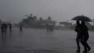 മരങ്ങള്‍ കടപുഴകി; നാടുകാണി ചുരത്തില്‍ ഗതാഗത തടസം, പാതാറില്‍ 40 കുടുംബങ്ങളെ മാറ്റിത്താമസിപ്പിച്ചു
