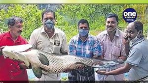 പാറമടയിലെ വെള്ളത്തില്‍ വലയിട്ടപ്പോള്‍ കിട്ടയത്; അമ്പരപ്പ് മാറാതെ ഉടമ