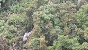 കയറരുതെന്ന് നാട്ടുകാര്‍ പറഞ്ഞു... കേട്ടില്ല, കൊരണമലയില്‍ കുടുങ്ങി യുവാക്കള്‍, ഒരു രാത്രി തിരച്ചില്‍