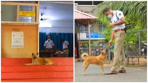  സ്റ്റേഷന് മുന്നിൽ ചാകാറായിക്കിടന്നു, കൂടെക്കൂട്ടി പോലീസുകാർ, കണ്ണിലുണ്ണിയായി 'ട്രാഫി'