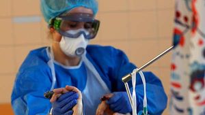  എറണാകുളത്ത് 300നടുത്ത് കൊവിഡ് ബാധിതർ: 278 പേർക്കും സമ്പർക്കത്തിലൂടെ രോഗം!!