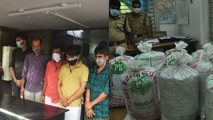 മലപ്പുറത്ത് 300 കിലോയുടെ കഞ്ചാവ് വേട്ട; ജില്ലയിലെത്തിച്ചത് പച്ചക്കറിയുടെ മറവില്‍, 5 പേര്‍ പിടിയില്‍