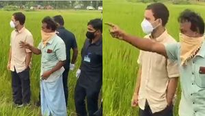 വയലിലിറങ്ങി,കൃഷിയറിഞ്ഞ് രാഹുൽ ഗാന്ധി; ജൈവ വിഭവങ്ങൾ കൊണ്ടുള്ള ഉച്ചഭക്ഷണം കഴിച്ച് മടക്കം