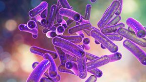   എറണാകുളത്ത് ഷിഗെല്ല സ്ഥിരീകരിച്ചു: ചോറ്റാനിക്കര സ്വദേശിനി ചികിത്സയിൽ,  പ്രതിരോധ പ്രവർത്തനങ്ങൾ!!