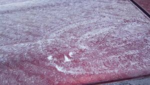 ഇത് മണാലിയല്ല, കേരളമാണ്; കൊടും തണുപ്പില്‍ മഞ്ഞണിഞ്ഞ് മൂന്നാര്‍, അമ്പരപ്പോടെ വിനോദ സഞ്ചാരികള്‍