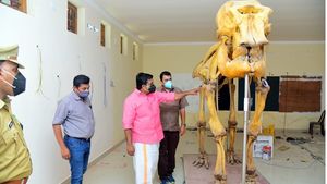 കോന്നി എലിഫൻ്റ് മ്യൂസിയത്തിന് പുതിയ മുഖം: 20 ലക്ഷം രൂപ മുടക്കി നവീകരണം