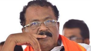 കേരളം ചെറിയ പ്രതലമെന്ന് ശ്രീധരന്‍ പിള്ള; ഇപ്പോഴുള്ളത് സാഗരത്തില്‍, ചാടുമെന്നത് ശരിയല്ല