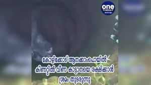 ആനക്കാംപൊയിലില്‍ ആന പൊട്ടക്കിണറ്റില്‍ വീണു, വന്‍ പരിശ്രമം, ഒടുവില്‍ പുറത്തെത്തിച്ചു
