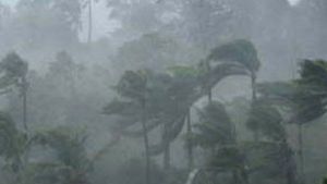  മലപ്പുറത്ത് വീശിയടിച്ച് ചുഴലിക്കാറ്റ്; 40 ഓളം വീടുകൾ തകർന്നു, വ്യാപക നാശനഷ്ടം
