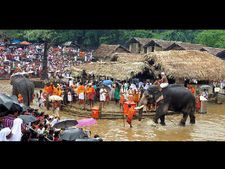 ഭക്തജനങ്ങളില്ലാതെ  കൊട്ടിയൂർ ഉത്സവം: വഴിയോര കച്ചവടക്കാർ ദുരിതത്തിൽ