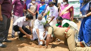 മികച്ച രീതിയില്‍ മരങ്ങള്‍ നട്ടുവളര്‍ത്തി പരിപാലിക്കൂ, അവാർഡ് നൽകുമെന്ന് വനംവകുപ്പ് മന്ത്രി