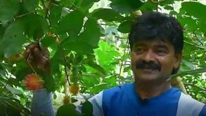 കൃഷിയെ ജനകീയമാക്കി ഒരു കൃഷിക്കാരൻ; ഹക്കീമിൻ്റെ പുരയിടത്തിൽ എന്ത് നട്ടാലും വിളയും!
