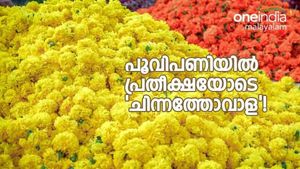 പൂവീളിയുയർത്തി 'ചിന്നതോവാള' ; ഉത്രാടതലേന്ന് മെച്ചപ്പെട്ട കച്ചവടം നടക്കുമെന്ന് വ്യാപാരികൾ