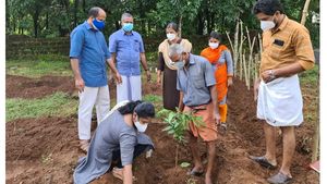 ഹരിതകേരള മിഷൻ നട്ടുവളർത്തിയത് 24 ദേവഹരിതം പച്ച തുരുത്തുകൾ