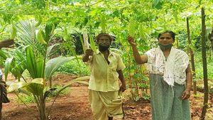 ഓണസദ്യ ഒരുക്കാന്‍ നല്ല ഫ്രഷ് പച്ചക്കറി വീട്ടിലെത്തും; 30 ശതമാനം വിലക്കുറവില്‍