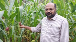 നൂറ് ദിനം; 10 ലക്ഷം കശുമാവ് തൈകള്‍, കശുവണ്ടി മേഖലയ്ക്ക് പ്രത്യേകപരിഗണന - മന്ത്രി പി. രാജീവ്