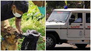 കീറിയ വസ്ത്രങ്ങളും രക്തക്കറയും... ഫേസ്ബുക്ക് പ്രേമ വിവാഹം 'പാളി'... തൊഴിലില്ലാത്ത ഭര്‍ത്താവ്, ഒടുവില്‍