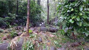 കൂട്ടിക്കലില്‍ വന്‍ ദുരന്തം; രണ്ട് പാലങ്ങളും തൂക്കുപാലവും ഒലിച്ചുപോയി, 30 പേരെ കാണാതായി