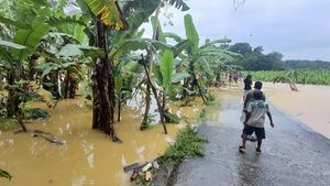 കൂട്ടിക്കലില്‍ വീണ്ടുമൊരാള്‍ മരിച്ചതായി സംശയം.....മൃതദേഹത്തിനൊപ്പമുള്ള കാല്‍ മുതിര്‍ന്ന പുരുഷന്റേത്
