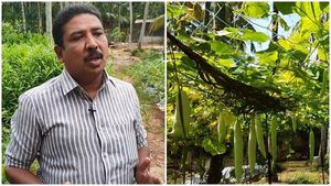 ഇനി മുതൽ ചതുപ്പിലും കൃഷി ചെയ്യാം; കൃഷിയിടത്തെ സമൃദ്ധമാക്കി കോണ്ടൂർ ഗ്രൂപ്പ്