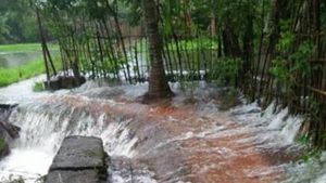 കുട്ടനാട്ടിലും അപ്പർ കുട്ടനാട്ടിലും ജലനിരപ്പ് ക്രമാതീതമായി ഉയരാൻ സാധ്യത; അതീവ ജാഗ്രതാ നിർദ്ദേശം