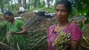 ദീപാവലിയിൽ പ്രതീക്ഷയോടെ കേരളത്തിൻ്റെ ശിവകാശി; കമ്പക്കെട്ടിൽ  ആശാന്മാരുടെ മുഖമുദ്രയിൽ നന്ദിയോട് ഗ്രാമം