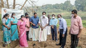 രണ്ട് ലക്ഷം രാമച്ച തൈകളും ഔഷധ സസ്യതൈകളും: പമ്പാ നദീതീരത്ത്  ജൈവവൈവിധ്യ പുനരുജ്ജീവനം