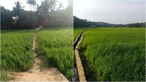 തിരുവനന്തപുരത്തിന്റെ കുട്ടനാട് ഇവിടെയാണ്; സേവ് ദ ഡേറ്റ് ചിത്രങ്ങൾ വൈറൽ; ഫോട്ടോഗ്രാഫർമാർ തകർക്കും  