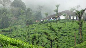 വേനലെത്തും മുമ്പേ മൂന്നാര്‍ ജലക്ഷാമത്തിലേക്ക്, മുതിരപ്പുഴയാര്‍ വറ്റി, വെള്ളമില്ലാതെ തടയണ