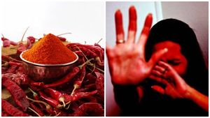 നടപടിയിൽ തൃപ്തി പോരാ; സിറ്റിങ്ങിൽ ബഹളം; വനിതാ കമ്മീഷന് നേരെ മുളക് പൊടി എറിഞ്ഞ് എഴുപതുകാരി   