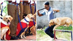 കഞ്ചാവ് കയ്യിലുണ്ടോ? ;ലെയ്ക്ക,ബ്രൂസി എന്നിവരെ ഭയക്കണം; കുത്തിയിരിക്കും;ഓടിയാൽ ഓടിച്ചിട്ട് പിടിക്കും  