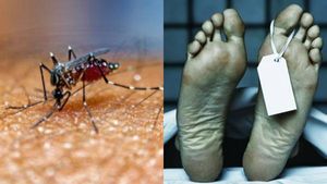 തൃശൂരില്‍ വെസ്റ്റ് നൈല്‍ ഫീവര്‍ ബാധിച്ച് ഒരാള്‍ മരിച്ചു; ഈ വര്‍ഷത്തെ ആദ്യത്തെ മരണം
