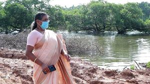 തലശേരിയില്‍ ഏക്കര്‍ കണക്കിന് കണ്ടല്‍ക്കാട് സ്വകാര്യവ്യക്തി വെട്ടിനശിപ്പിച്ചു