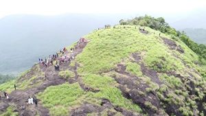 പാലുകാച്ചിമല ഇക്കോ ടൂറിസം പദ്ധതി: ട്രക്കിംഗിന് ആവേശ തുടക്കം 