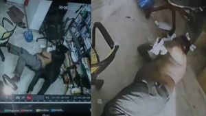 കോഴിക്കോടും കൊച്ചിയിലും പെട്രോള്‍ പമ്പില്‍ മോഷണം; കോഴിക്കോട്ടെ മോഷണം ജീനവക്കാരനെ കെട്ടിയിട്ട ശേഷം