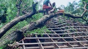 കാലവര്‍ഷക്കെടുതി തുടരുന്നു: കണ്ണൂര്‍ ജില്ലയില്‍ വ്യാപക നാശനഷ്ടം