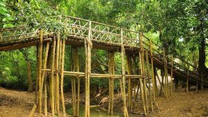 കുറുവ ദ്വീപ് വീണ്ടും തുറന്നു: സഞ്ചാരികള്‍ക്ക് ഇനി വയനാട്ടില്‍ അടിച്ചുപൊളിക്കാം