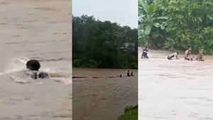 കുത്തിയൊലിച്ചൊഴുകുന്ന പുഴയില്‍ മരത്തടി, 'മുള്ളന്‍കൊല്ലി വേലായുധനായി' മൂവര്‍ സംഘം; വൈറല്‍ വീഡിയോ