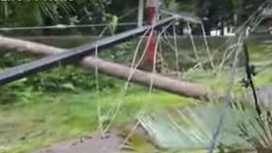 തൃശൂരില്‍ വീണ്ടും മിന്നല്‍ ചുഴലി, ഇലക്ട്രിക് പോസ്റ്റുകള്‍ പൊട്ടി വീണു, മരങ്ങള്‍ കടപുഴകി, വൻ നാശനഷ്ടം