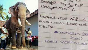 ആന പാപ്പാനാകണം, ആരും അന്വേഷിക്കേണ്ട; നാടുവിട്ട കുട്ടികളെ കണ്ടെത്തിയത് തെച്ചിക്കോട്ടുകാവ് ക്ഷേത്രത്തിന് സമീപം