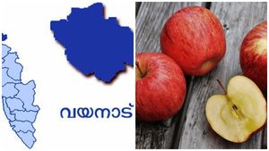 'സൂചി കുത്തിയ പാട്, ചുവപ്പും കറുപ്പും നിറവും'; വയനാട് ആപ്പിള്‍ കഴിച്ചവര്‍ക്ക് വയറുവേദനയും തലവേദനയും