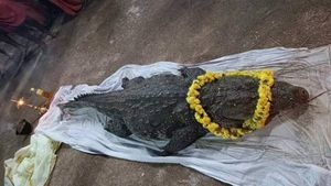 സസ്യാഹാരി, ആരെയും ഉപദ്രവിക്കില്ല; കുമ്പള അനന്തപുരം ക്ഷേത്രത്തിലെ ബബിയ മുതല ഓര്‍മ്മയായി